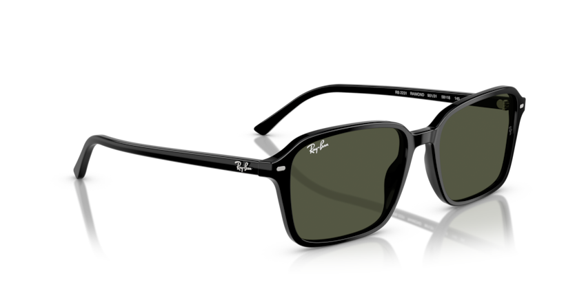 Ray Ban Raimond