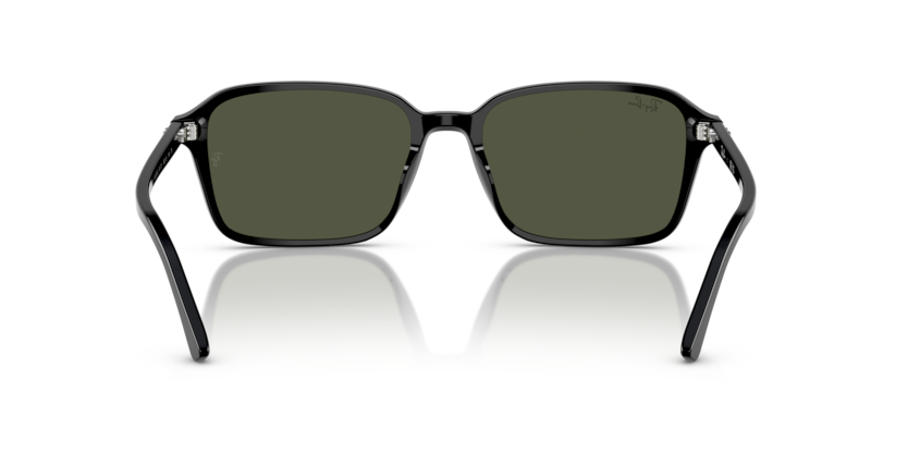 Ray Ban Raimond