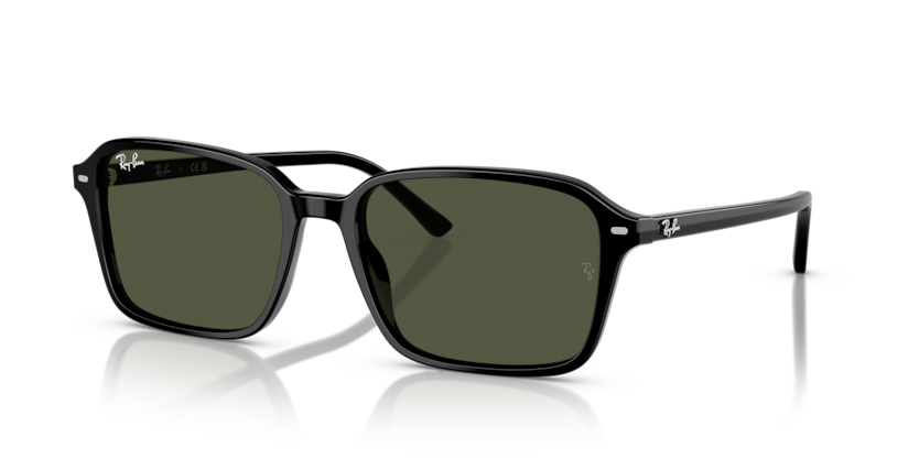 Ray Ban Raimond - Negro con verde g15