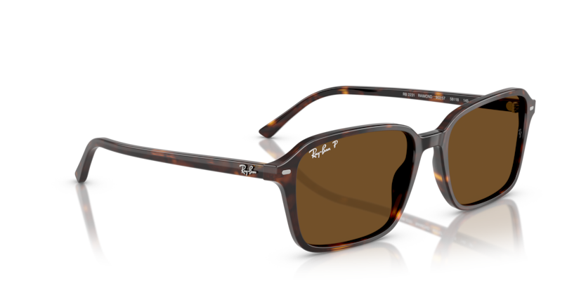 Ray Ban Raimond Polarizado