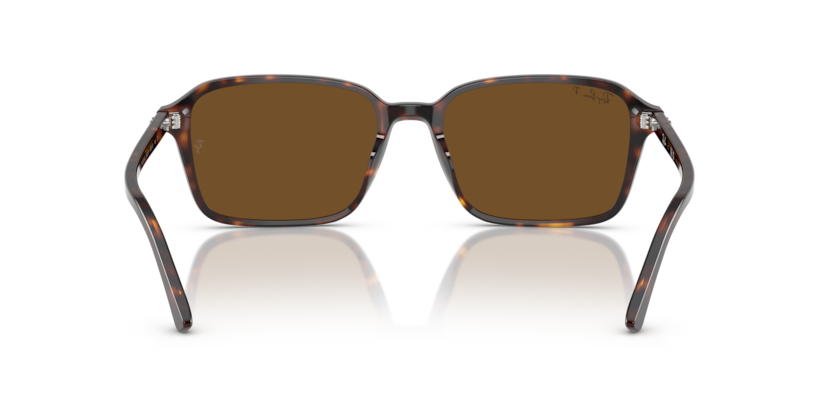 Ray Ban Raimond Polarizado