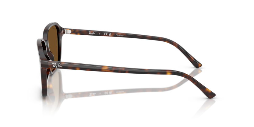 Ray Ban Raimond Polarizado