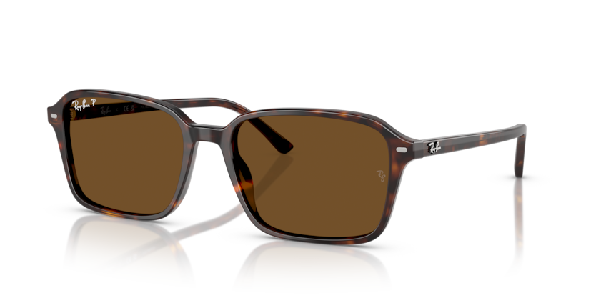 Ray Ban Raimond Polarizado - Havana con marrón polarizado