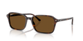 Ray Ban Raimond Polarizado - Havana con marrón polarizado