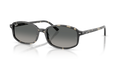 Ray Ban Sam - Havana gris con gris degradé