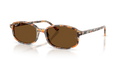 Ray Ban Sam Polarizado - Havana marrón y gris con mica marrón polarizado