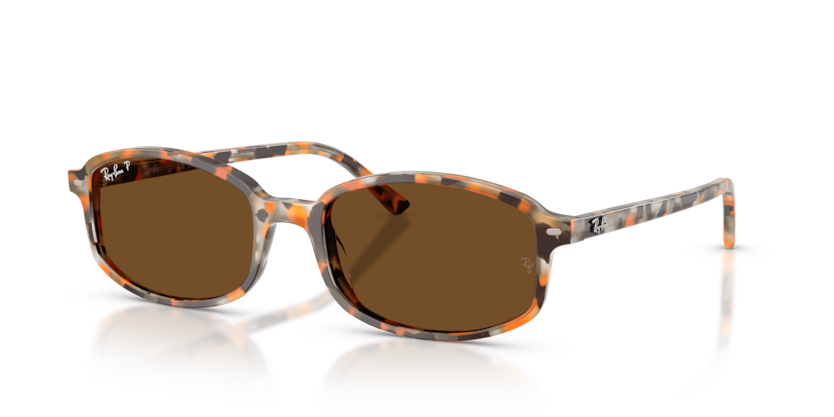 Ray Ban Sam Polarizado - Havana marrón y gris con mica marrón polarizado