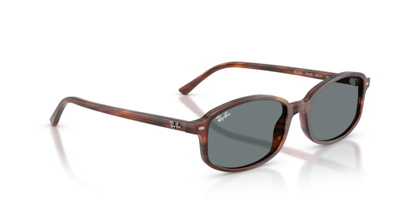 Ray Ban Sam