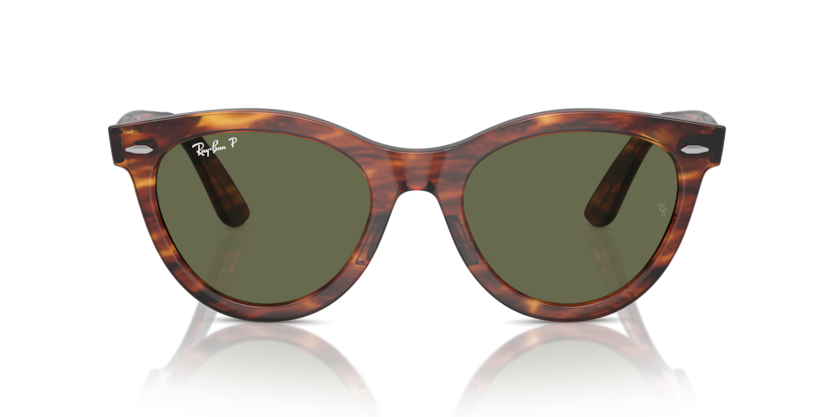 Ray Ban Wayfarer Way Polarizado