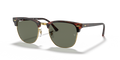 Ray Ban Clubmaster Classic Polarizado - Carey sobre dorado con mica verde g15 polarizado