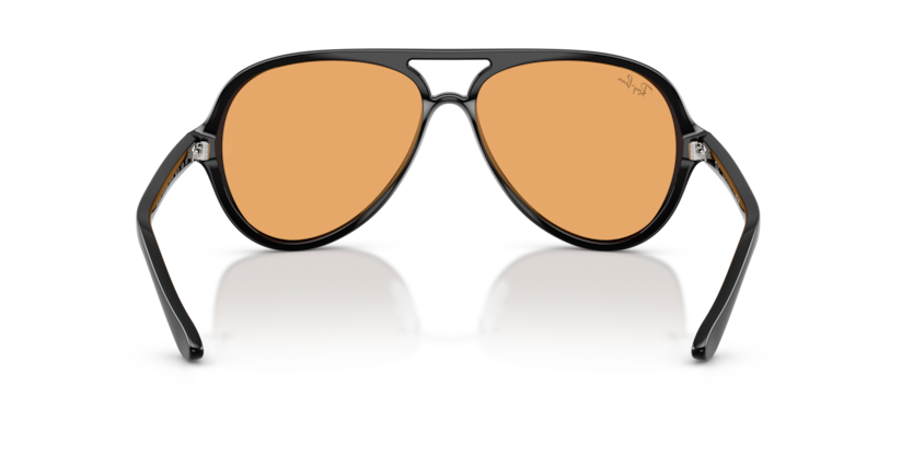 Ray Ban Cats 5000