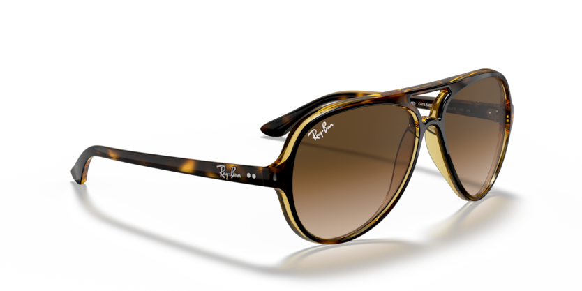 Ray Ban Cats 5000