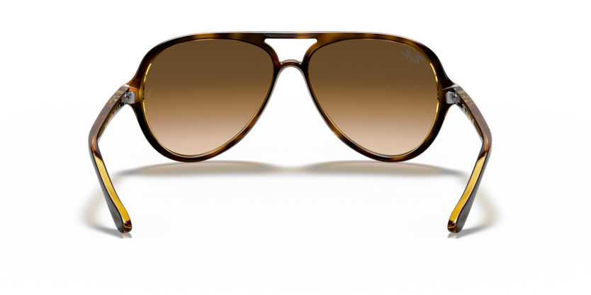 Ray Ban Cats 5000