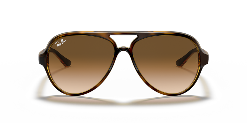Ray Ban Cats 5000