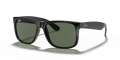 Ray Ban Justin - Negro con mica verde g15