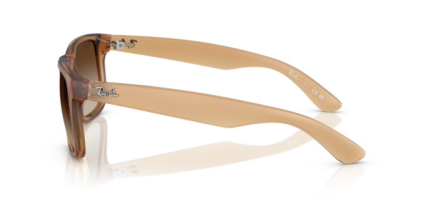 Ray Ban Justin
