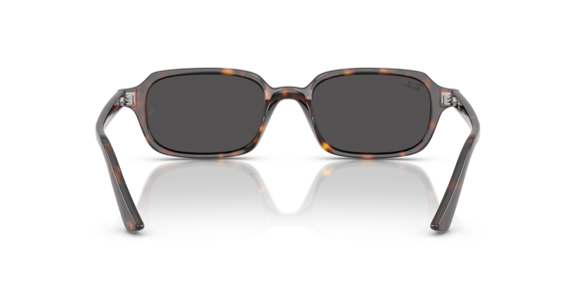 Ray Ban Zuri - Havana con mica gris oscuro