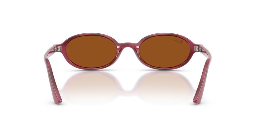 Ray Ban Khal - Havana violeta con micas marrón oscuro