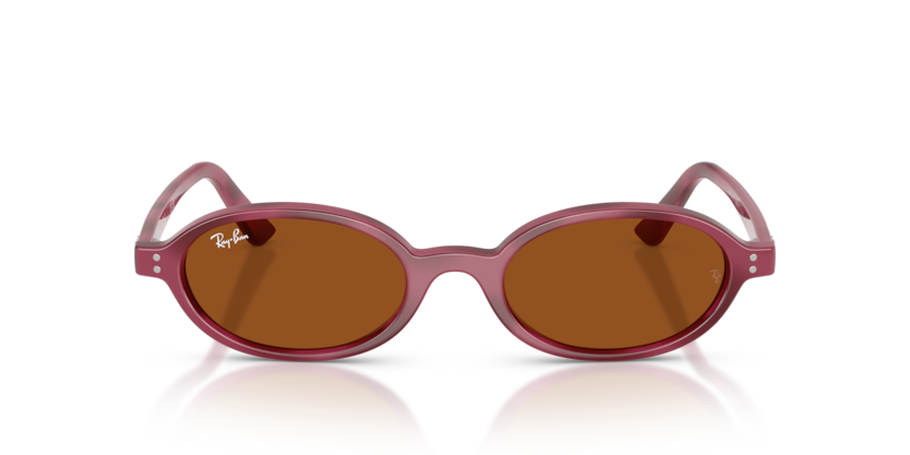 Ray Ban Khal - Havana violeta con micas marrón oscuro