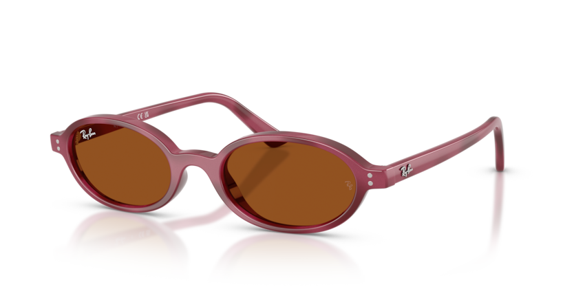 Ray Ban Khal - Havana violeta con micas marrón oscuro