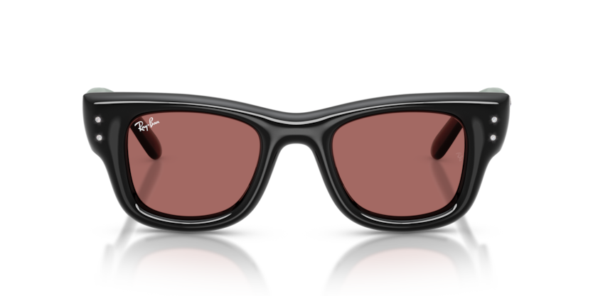 Ray Ban Wayfarer Puffer Cristal Edition