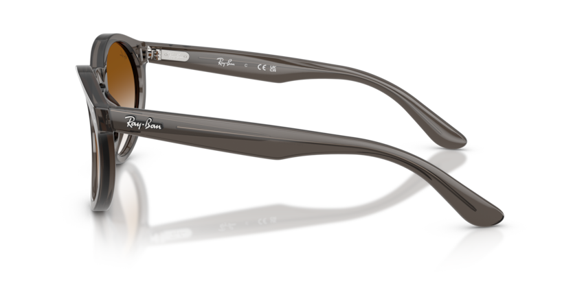 Ray Ban RBR0505S Reverse