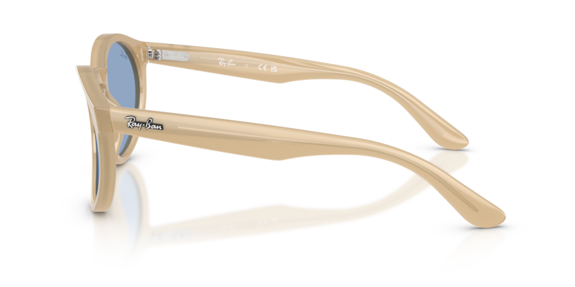 Ray Ban RBR0505S Reverse