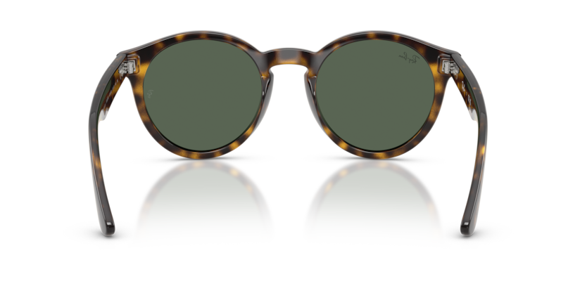Ray Ban RBR0505S Reverse