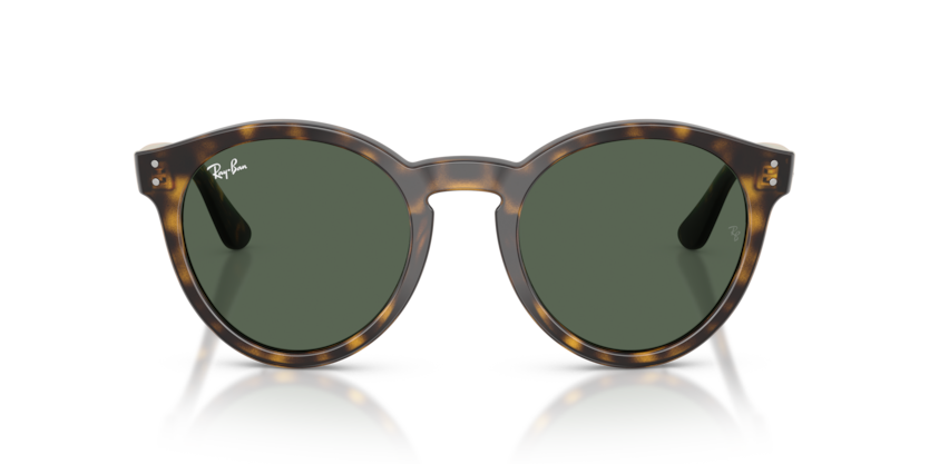 Ray Ban RBR0505S Reverse
