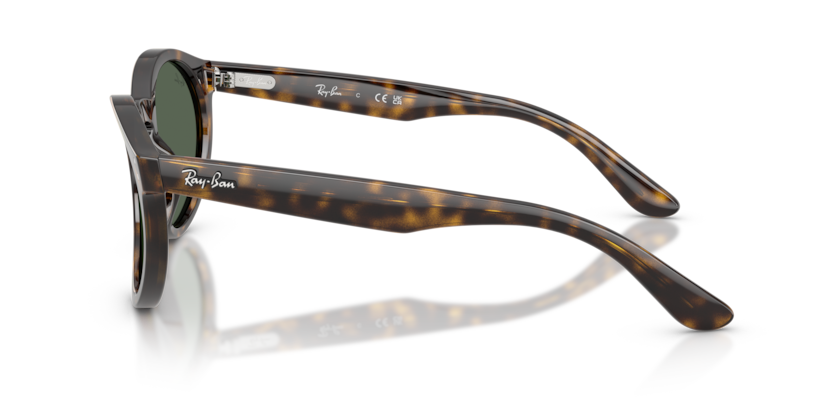 Ray Ban RBR0505S Reverse