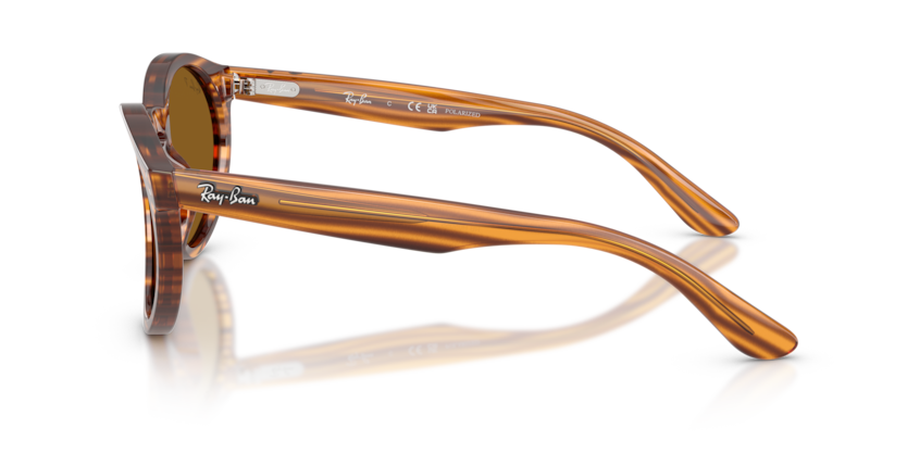 Ray Ban RBR0505S Reverse Polarizado