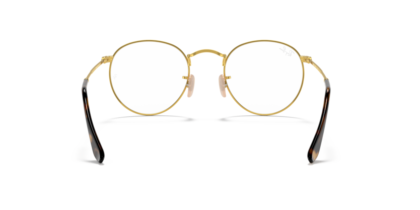 Ray Ban Round Metal - Havana sobre dorado