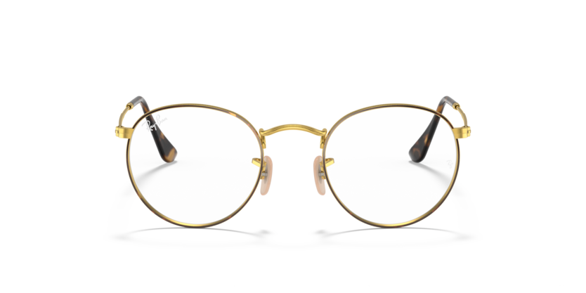 Ray Ban Round Metal - Havana sobre dorado