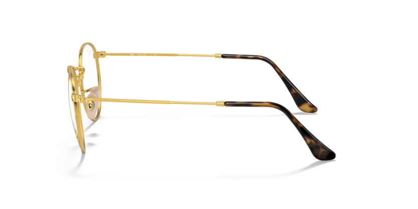 Ray Ban Round Metal - Havana sobre dorado