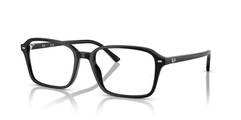 Ray Ban Raimond Optics - Negro