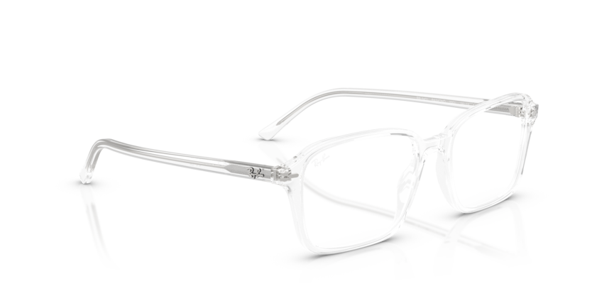 Ray Ban Raimond Optics
