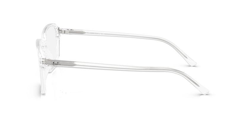 Ray Ban Raimond Optics