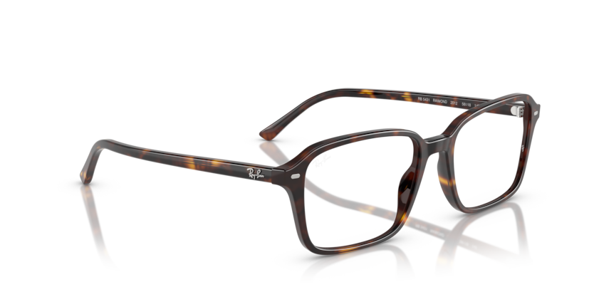 Ray Ban Raimond Optics