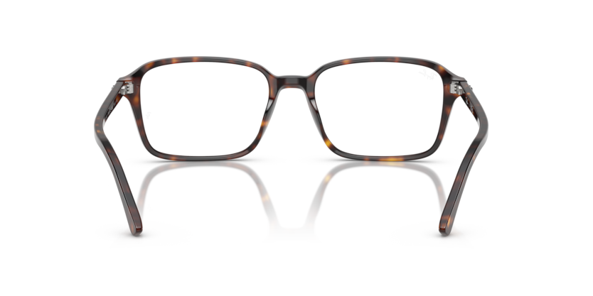 Ray Ban Raimond Optics