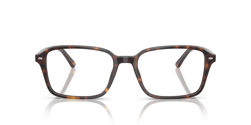 Ray Ban Raimond Optics