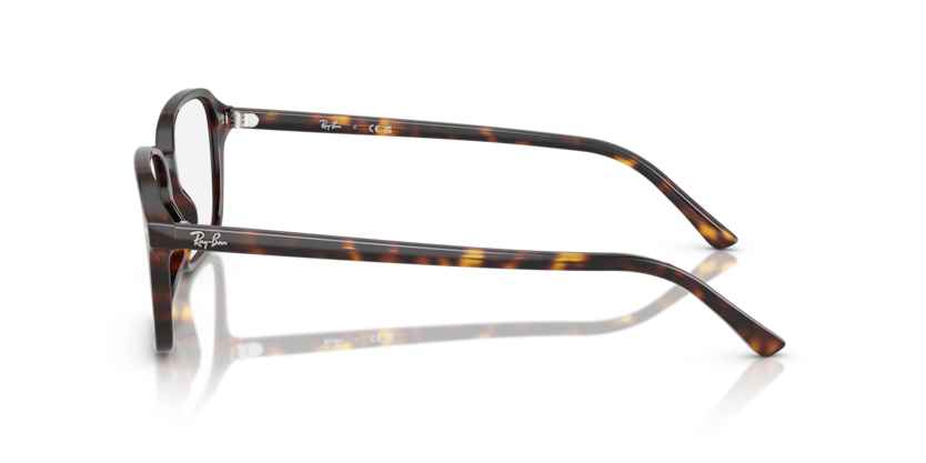Ray Ban Raimond Optics