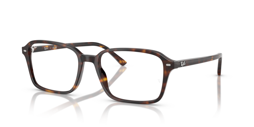 Ray Ban Raimond Optics - Havana
