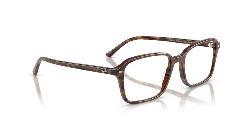 Ray Ban Raimond Optics
