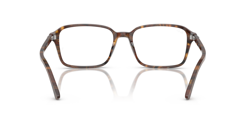 Ray Ban Raimond Optics