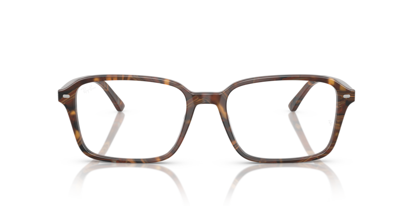 Ray Ban Raimond Optics