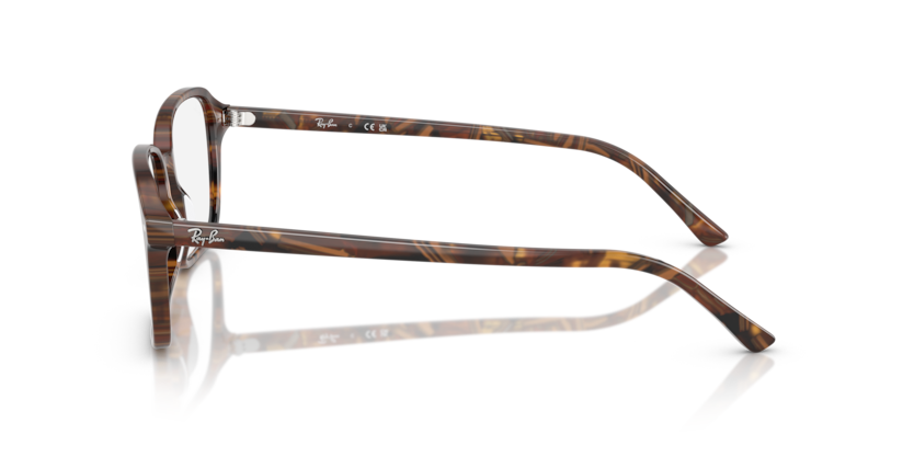 Ray Ban Raimond Optics