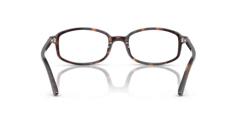 Ray Ban Sam Optics