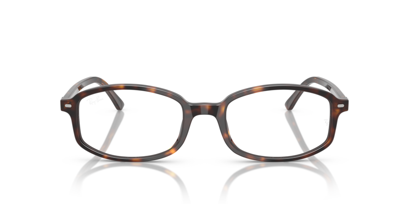 Ray Ban Sam Optics