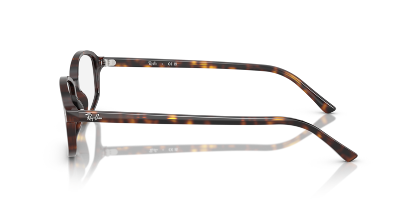 Ray Ban Sam Optics