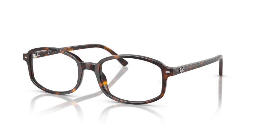 Ray Ban Sam Optics - Havana